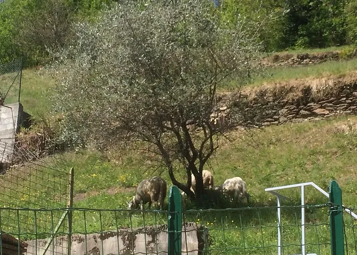 דירה Casa Il Melo